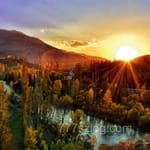 Avatar of Nasir Zaman