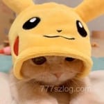 Avatar of Noor Fatima